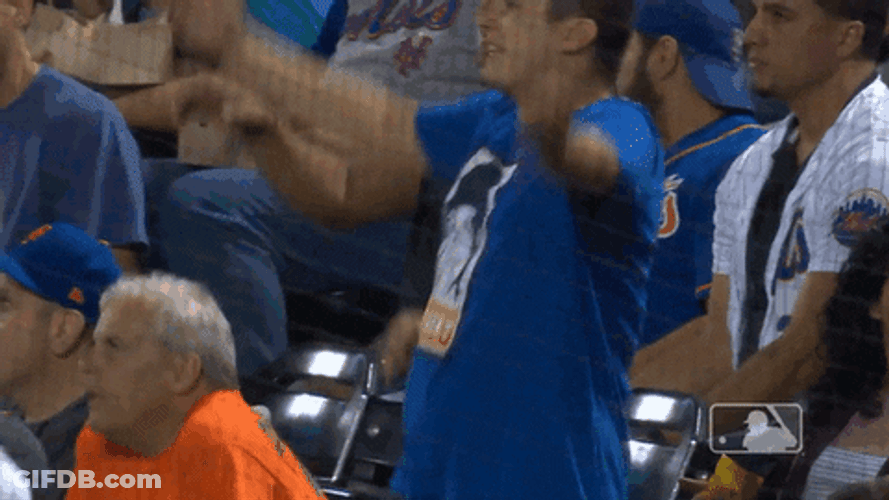 Lfgm New York Mets Fan GIF