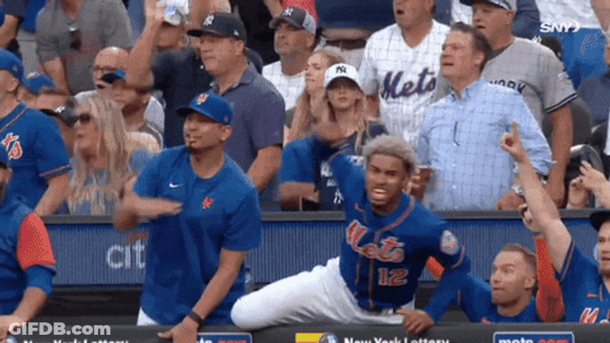 Lfgm New York Mets Winning Reaction GIF