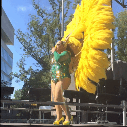 Lgbt Costume Contest GIF