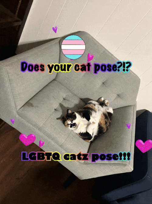 Lgbtq Gay GIF