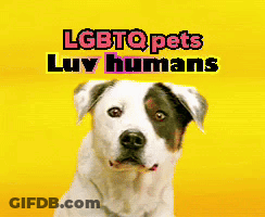 LGBTQ Pets And Humans GIF