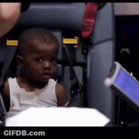 LGBTQ Petz Asking What Do You Want GIF