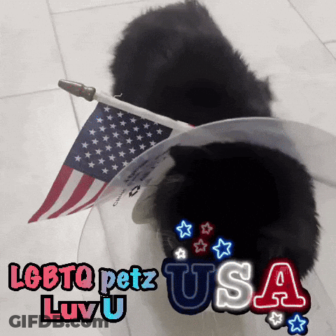 LGBTQ Petz USA Black Dog GIF