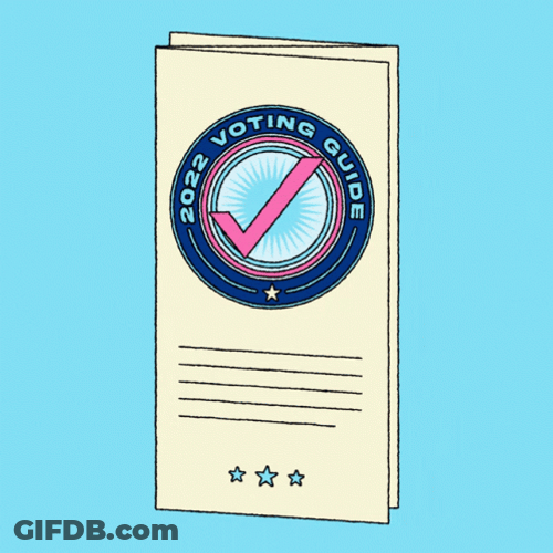 Liberal Voting Guide GIF