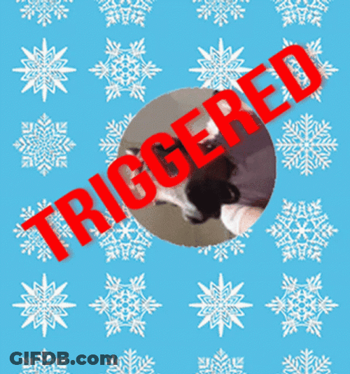 Liberal Whos Triggered GIF