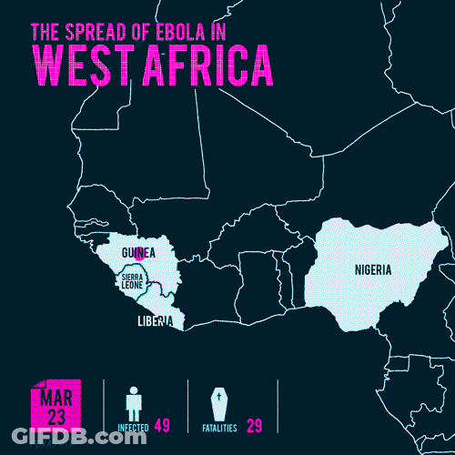 Liberia Pointing Area GIF