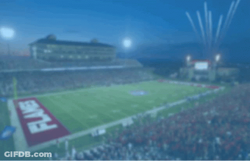 Liberty Mtn Views Logo Football Field GIF