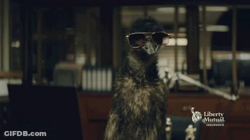 Liberty Mutual Llama On Desk GIF