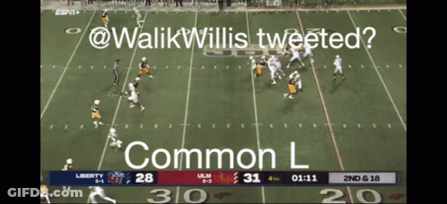 Liberty Vs Ulm Football Game On ESPN GIF