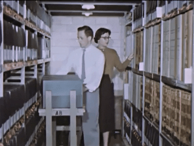 Library Research Shelf GIF