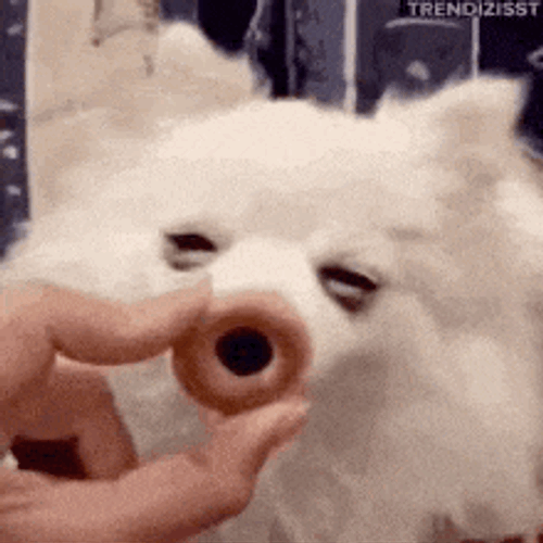 Lick GIF