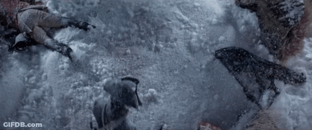 Lieutenant Dan Falling On The Ground GIF