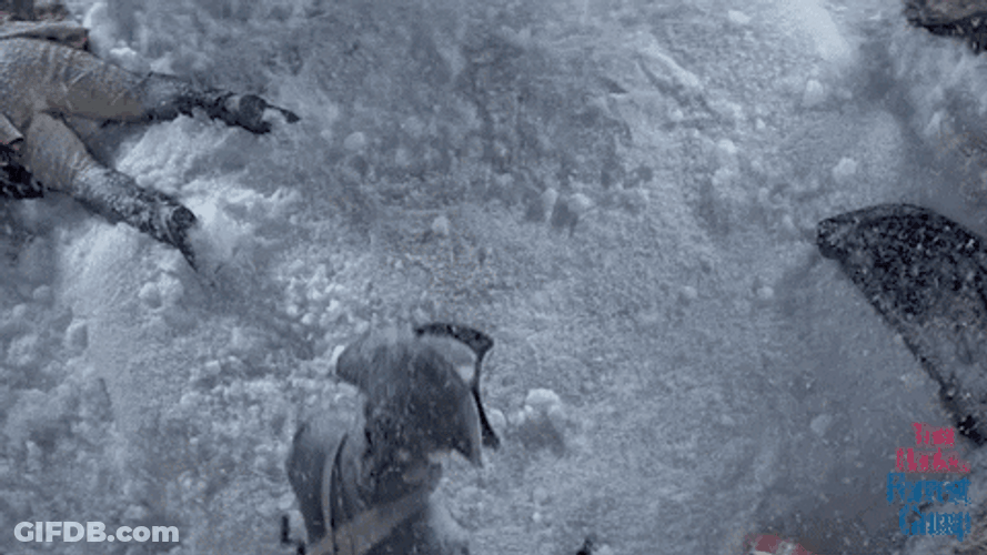 Lieutenant Dan GIF