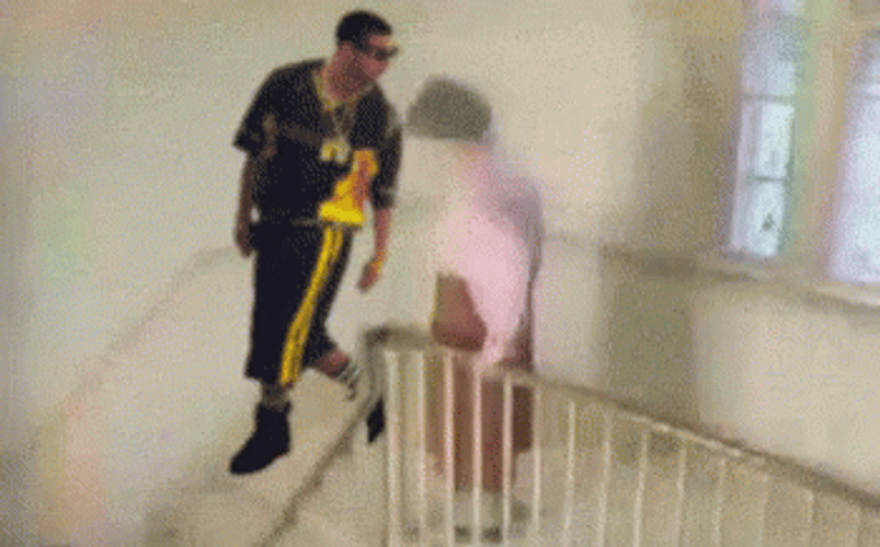 Life Alert Lola Fell Down The Stairs GIF