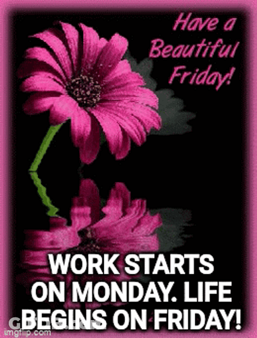 Life Begins At Friday Work GIF