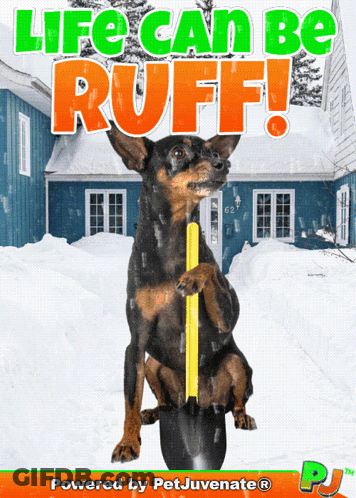 Life Can Be Ruff Poster GIF