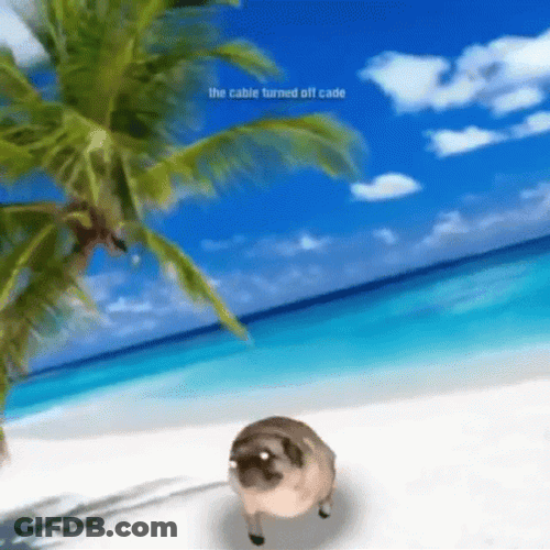 Life Could Be A Dream Dancing Pug GIF