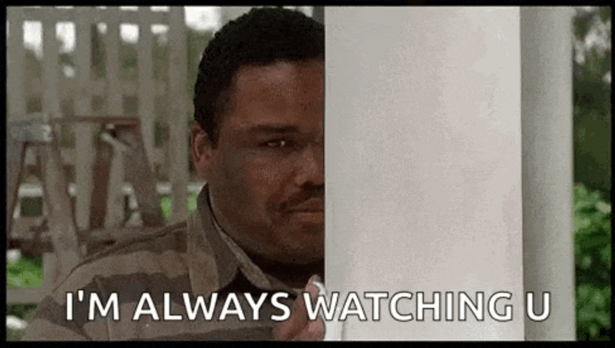 Life Stalk GIF