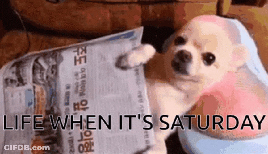 Life When Its Lazy Saturday GIF