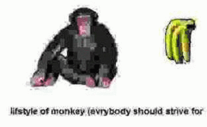 Lifestyle Of A Fat Monkey GIF