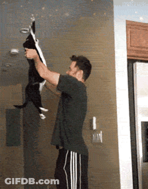Lift Off Cat Flying To Space GIF
