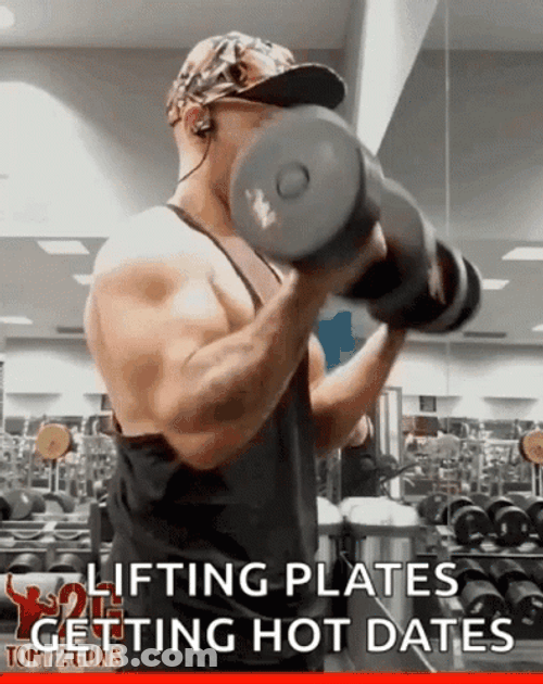 Lifting Plates Hammer Curls GIF