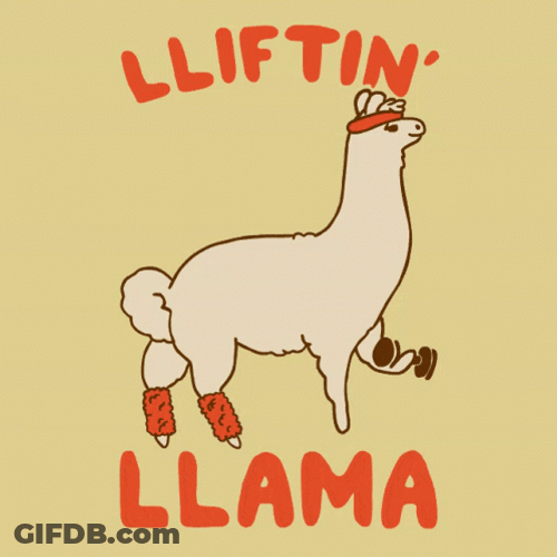Lifting Weights Llama GIF