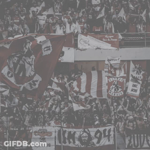Ligasm Cesc GIF