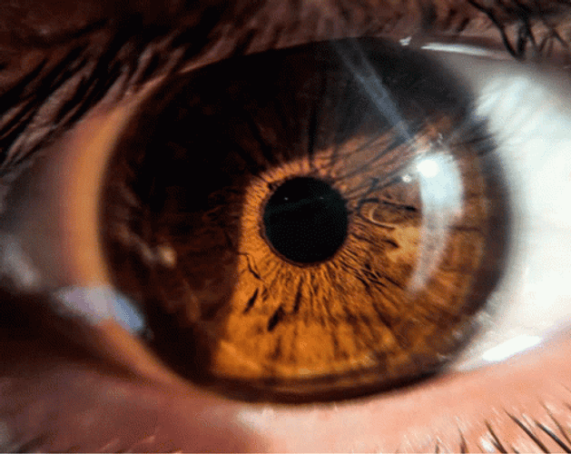 Light Brown Eye Color Aesthetic GIF