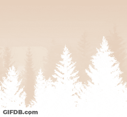 Light Brown Pine Trees Landscape GIF