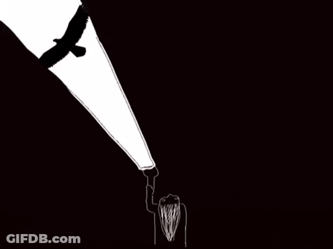 Light Hunting Bald Eagle GIF