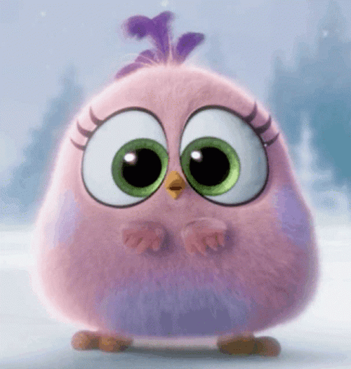 Light Pink Shocked Bird GIF