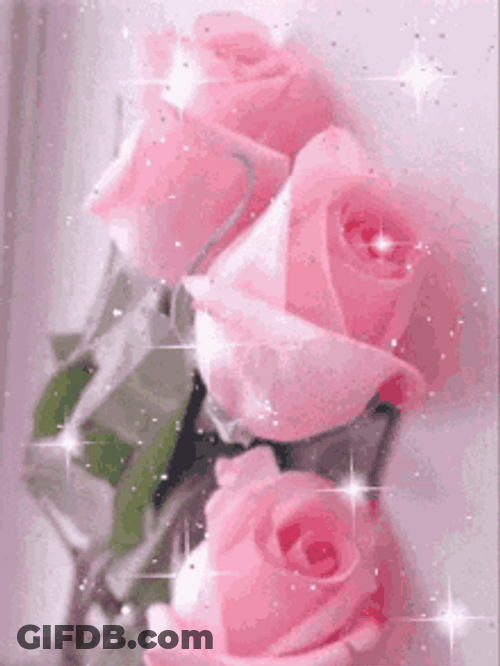 Light Pink Wallpaper GIF
