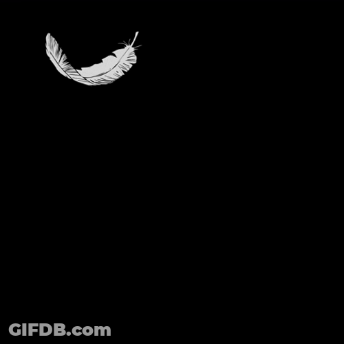Light Single Feather Going Down GIF