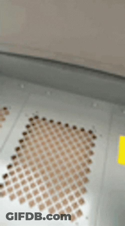Light Skin Face Man GIF
