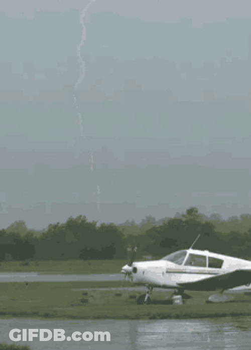 Lighting Behind A Tree GIF