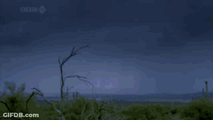Lighting Striking Plains GIF