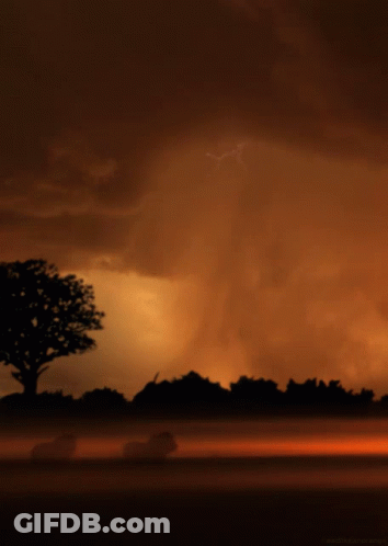 Lightning Bolt Against Dark Orange Sky GIF
