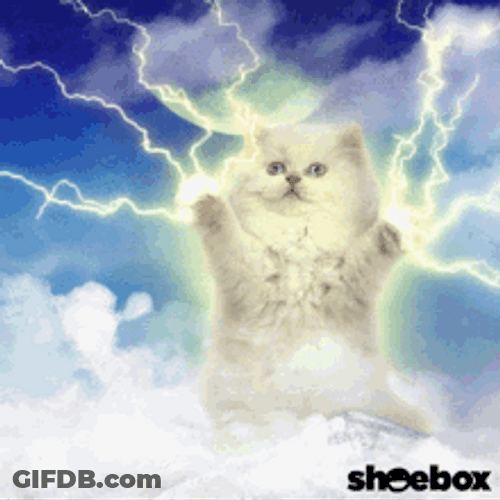 Lightning Cat Paws GIF