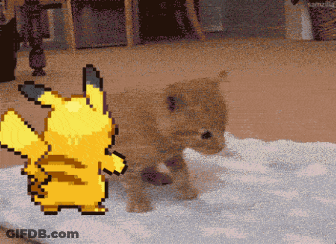 Lightning Pikachu Push Kitten GIF