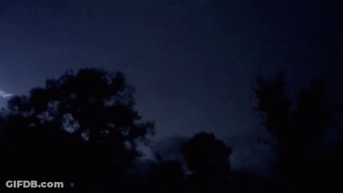 Lightning Strikes Behind Trees At Night GIF