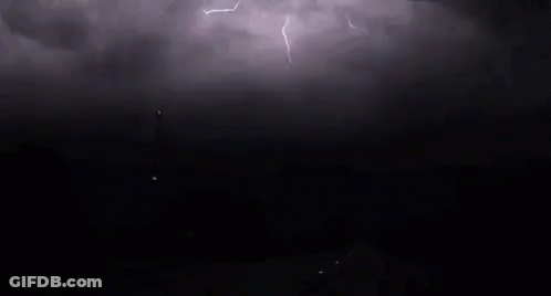 Lightning Strikes Behind Trees At Night GIF