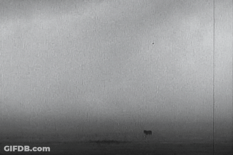 Lightning Strikes Inside Dust Storm GIF