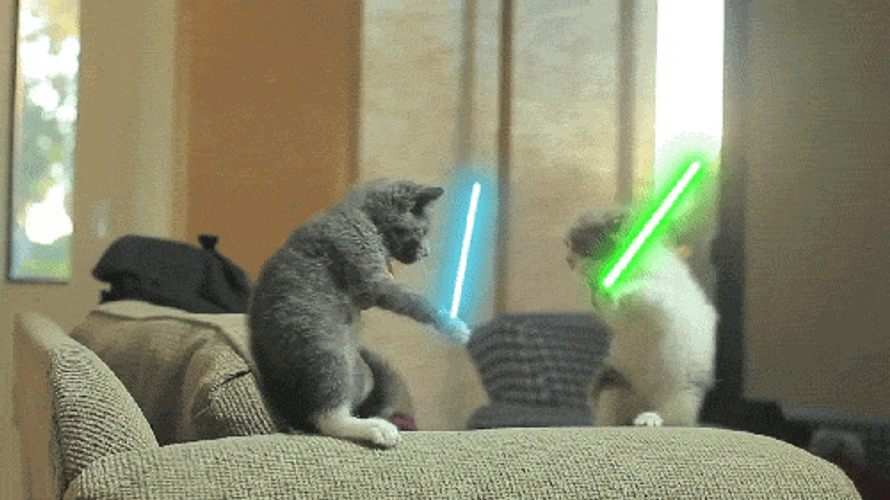 Lightsaber Cats Fighter GIF
