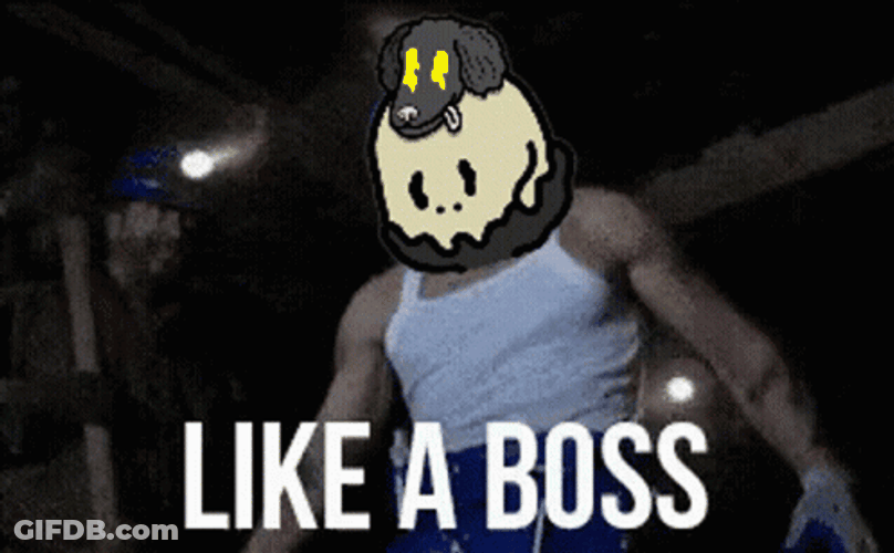 Like A Boss GIF