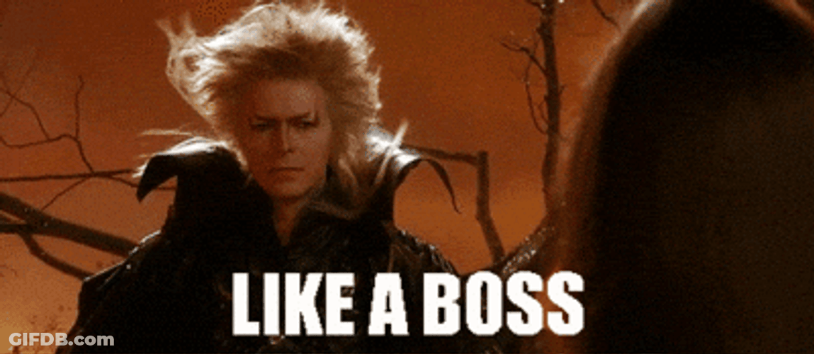 Like A Happy Bosses Day GIF