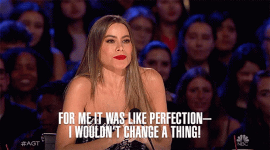 Like A Perfection Sofia Vergara GIF