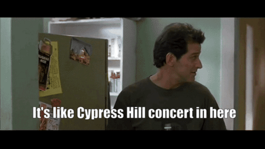 Like Cypress Hill Concert In Here Grandmas Boy GIF