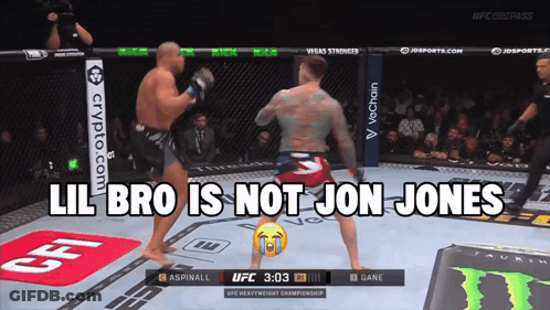 Lil Bro Not Jon Jones Displayed GIF
