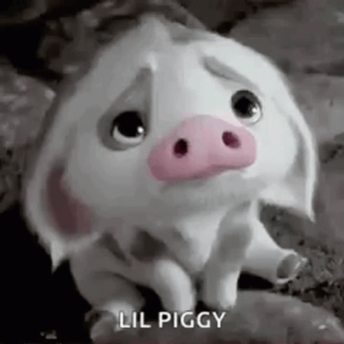 Lil Piggy Sad Upset About To Cry Awwe GIF